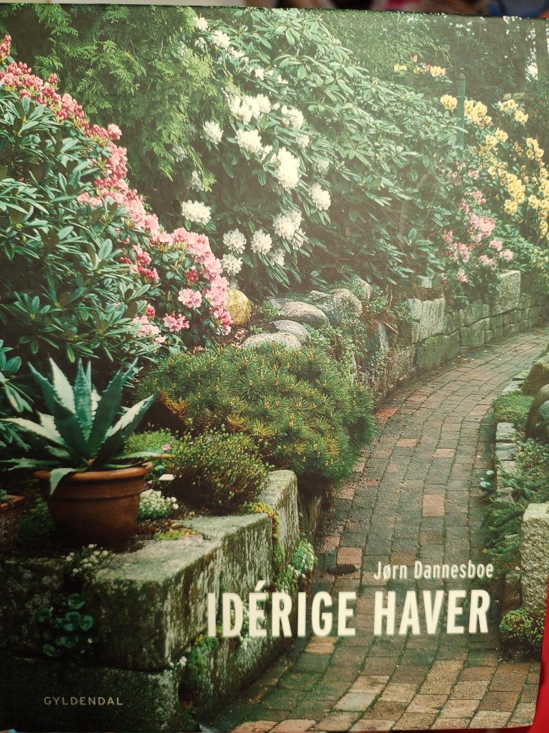 Idérige haver