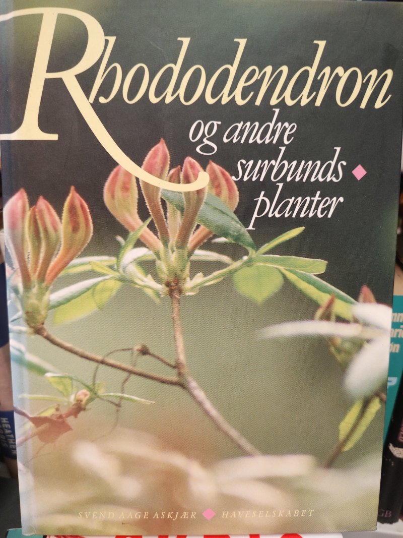 Rhododendron og andre surbundsplanter