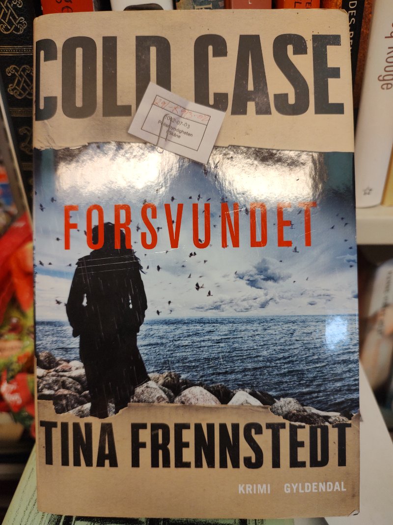 Cold Case: Forsvundet