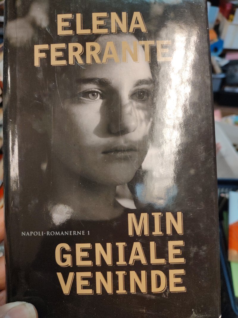 Min geniale veninde